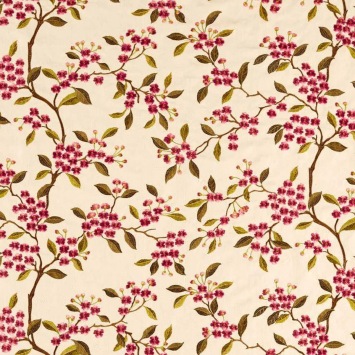 Damson Blossom
