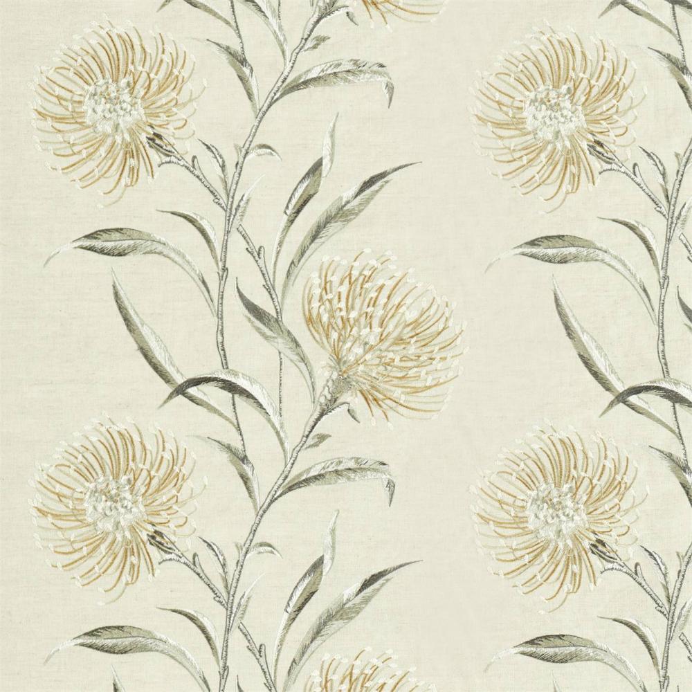 Catherinae Embroidery