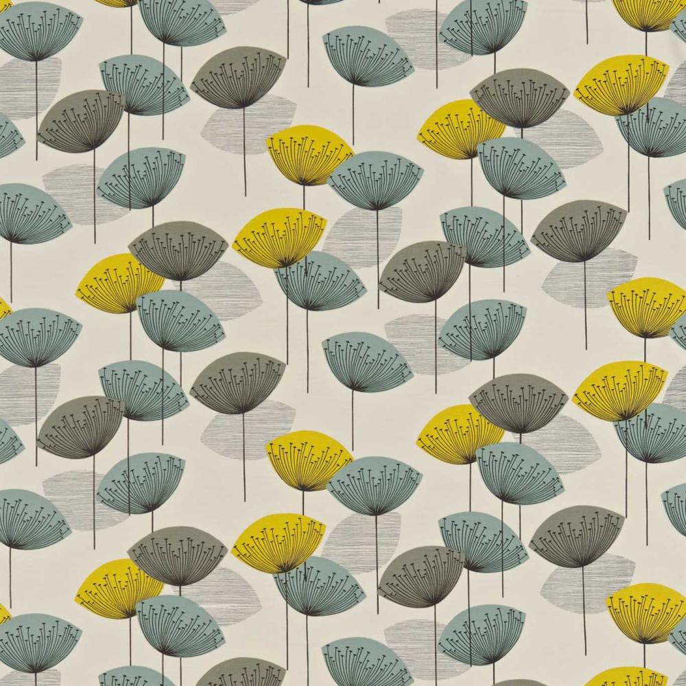 Dandelion Clocks