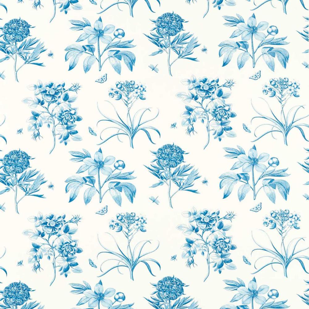 Etchings and Roses