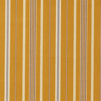Latimer Stripe