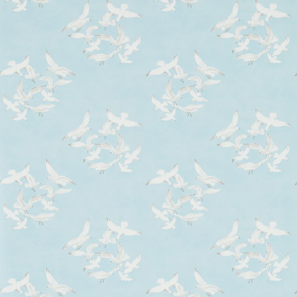 Seagulls