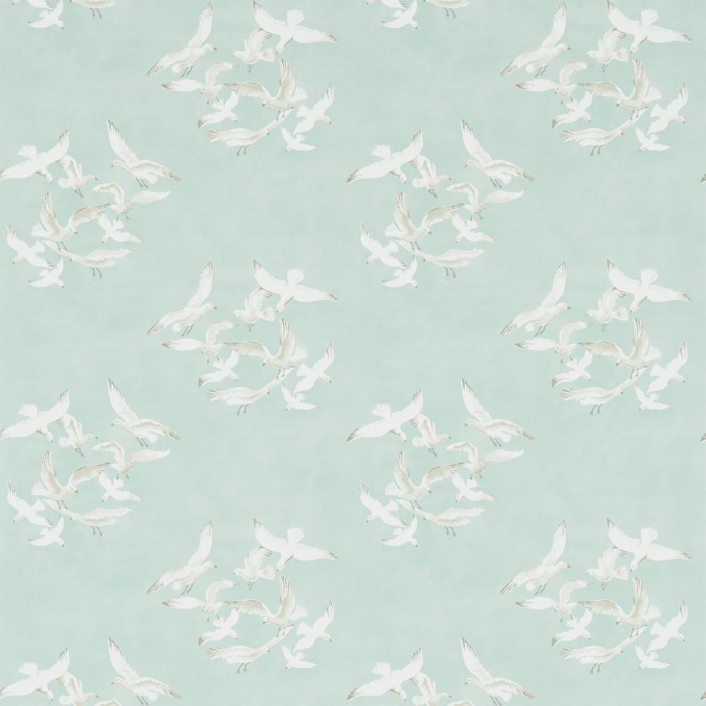 Seagulls