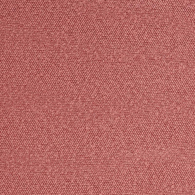 Sponge Boucle
