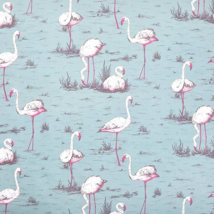 Flamingos