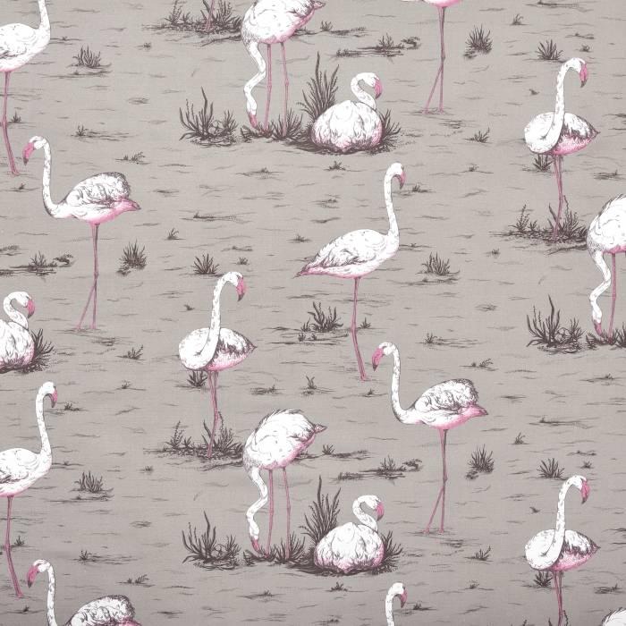 Flamingos