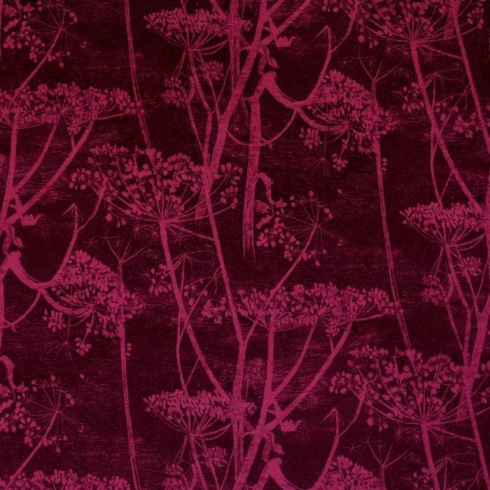 Cow Parsley Velvet