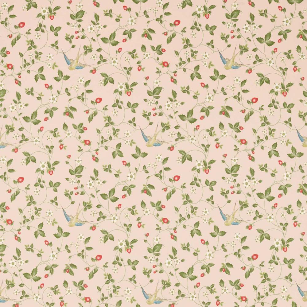 Wild Strawberry