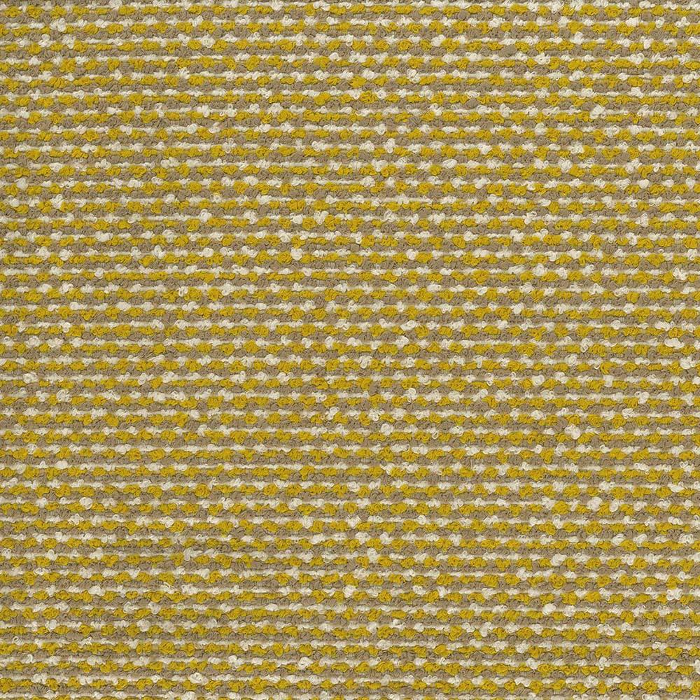 Beach Plain