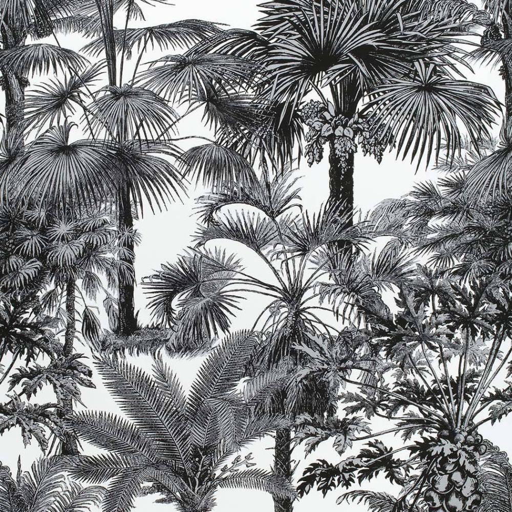 Palm Botanical