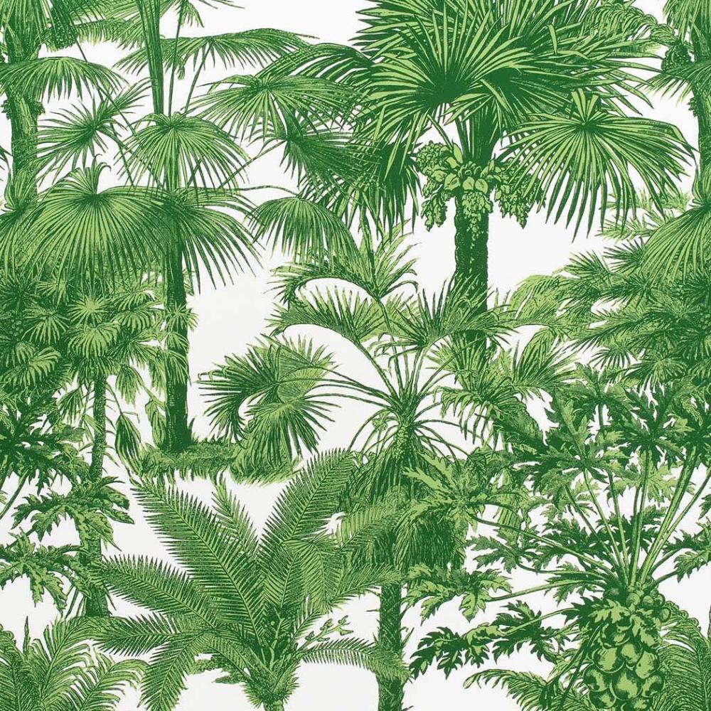 Palm Botanical