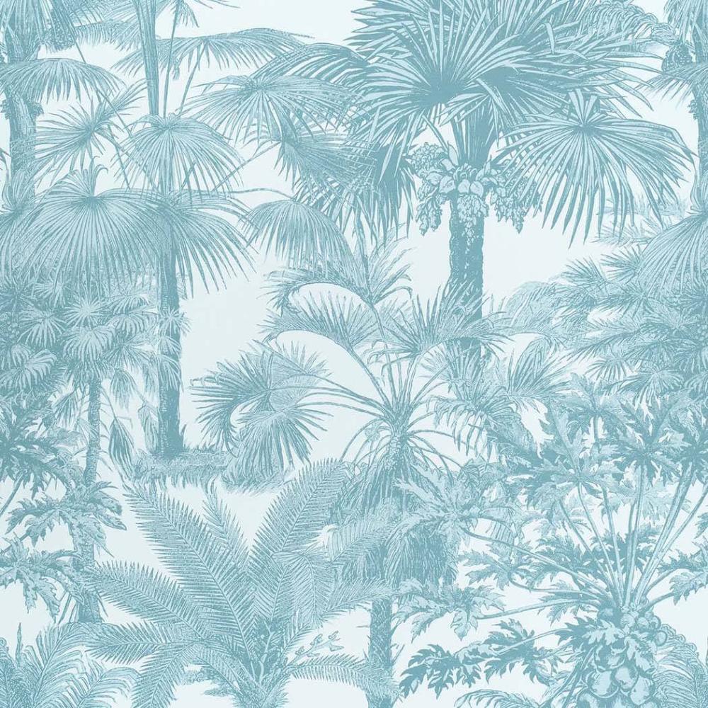 Palm Botanical