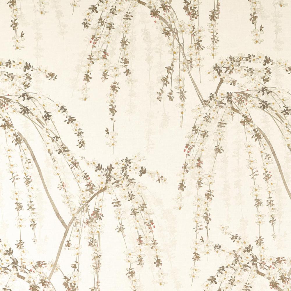 Weeping Blossom