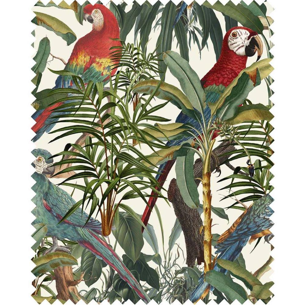 Parrots of Brasil
