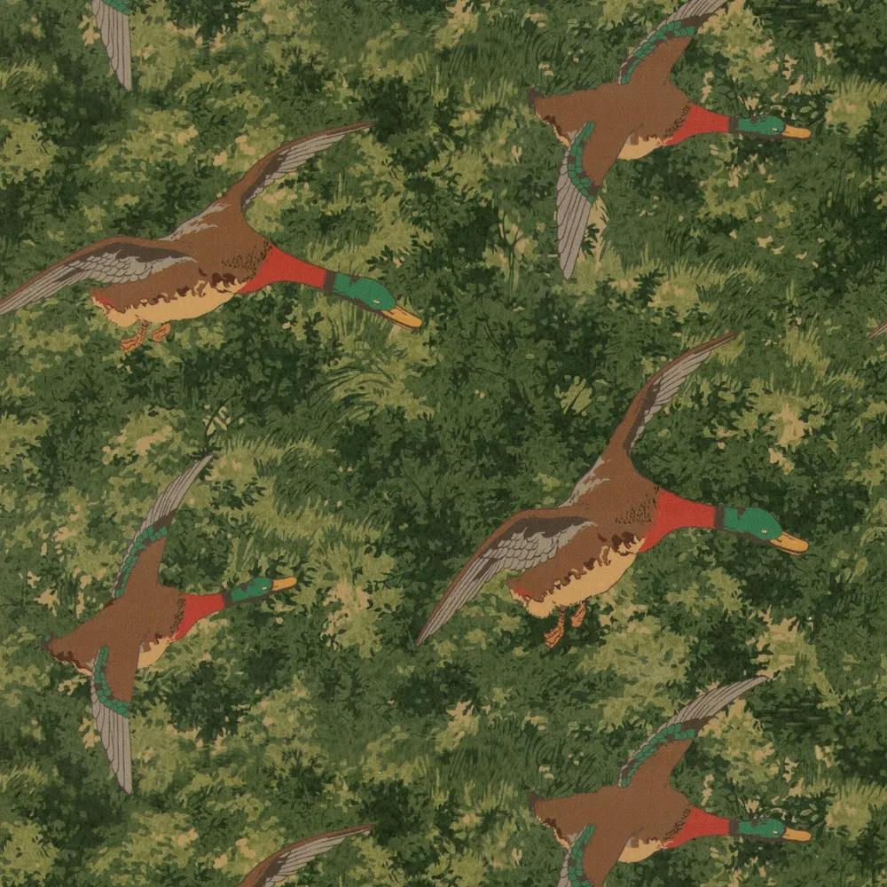 Forest Ducks Velvet