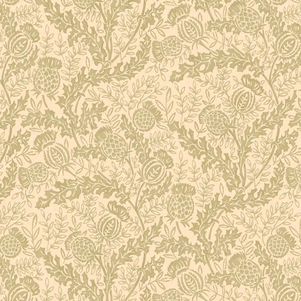 Mulberry Thistle