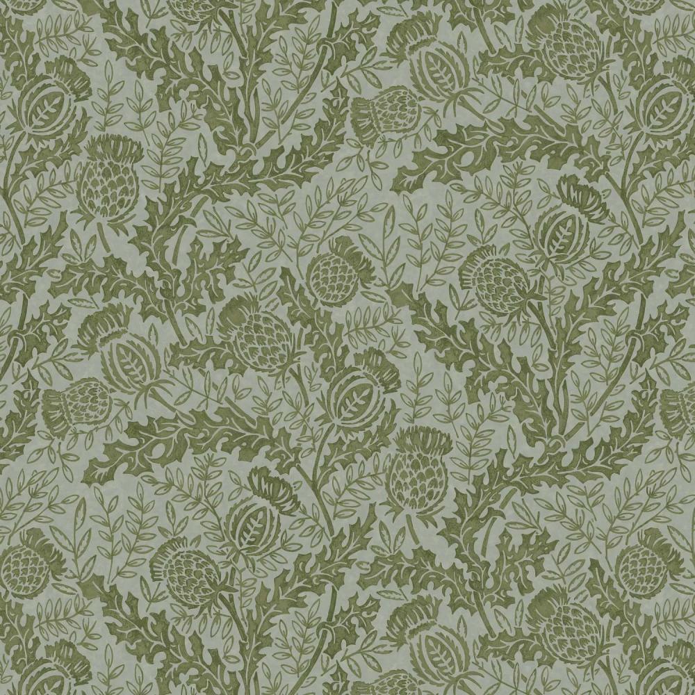 Mulberry Thistle