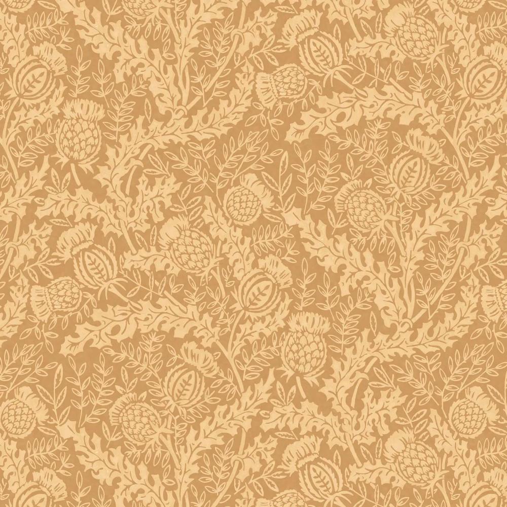 Mulberry Thistle