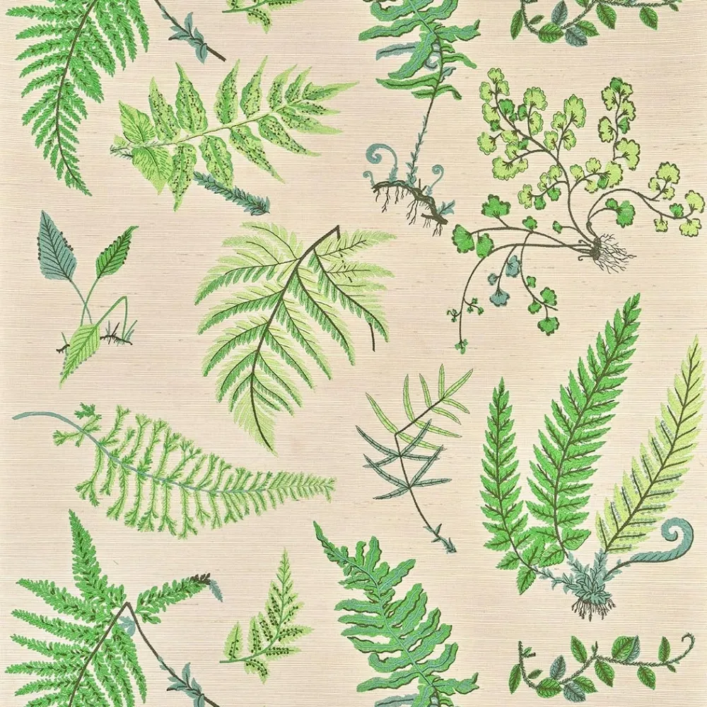 Botanique