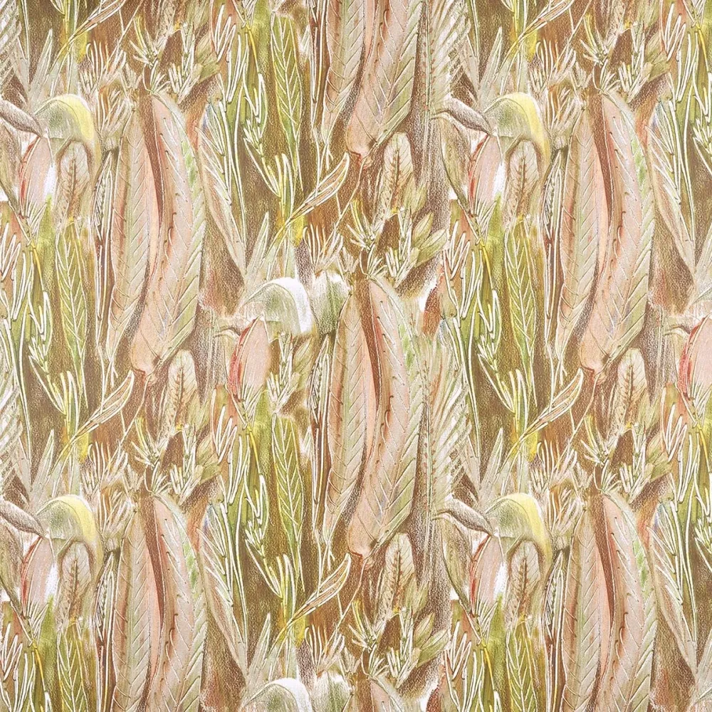 Calathea