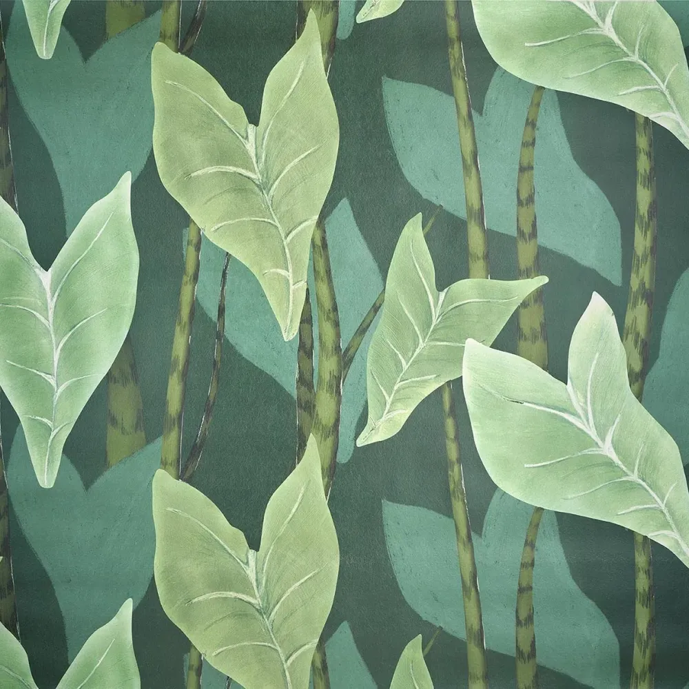 Monstera