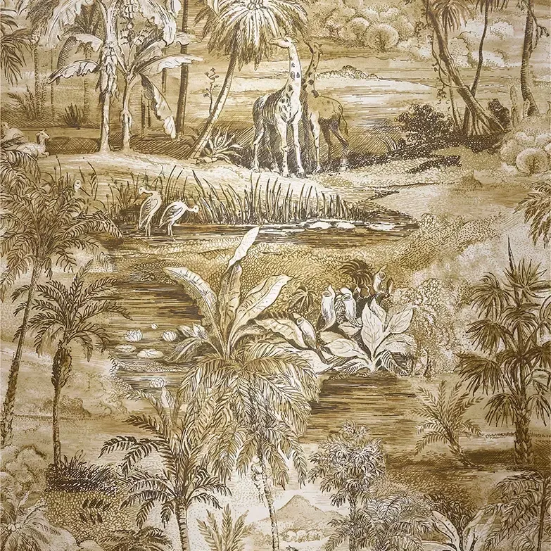 Safari