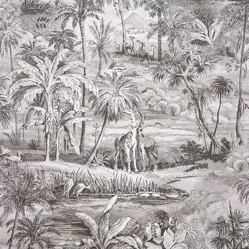 Safari