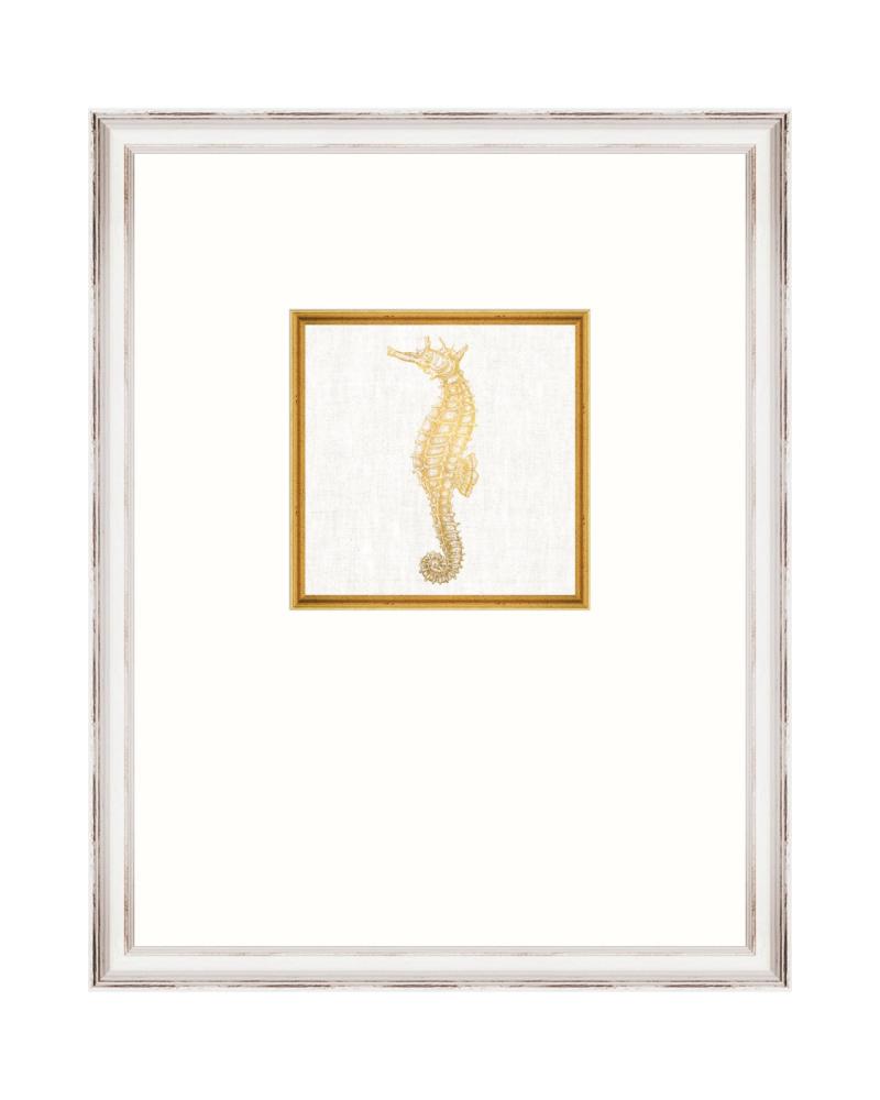 MEDITERRANEAN GEMS - SEAHORSE