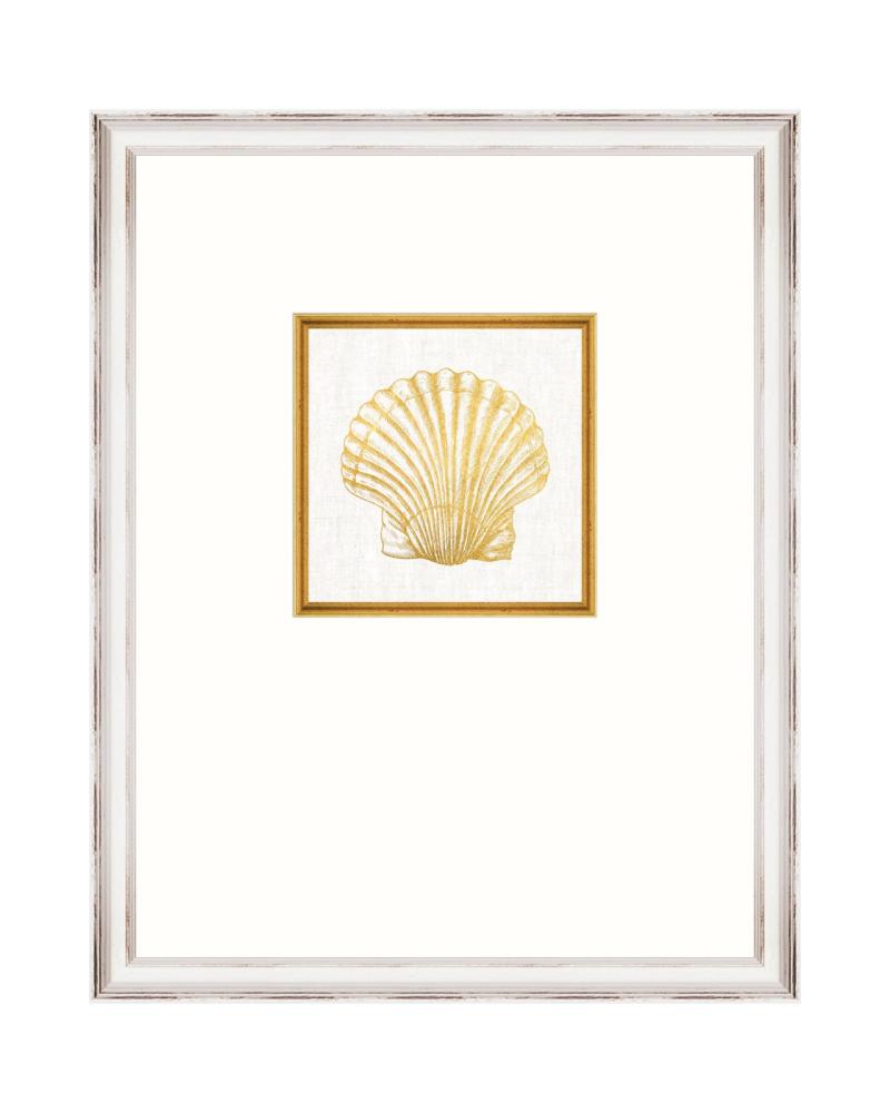 MEDITERRANEAN GEMS - SEASHELL