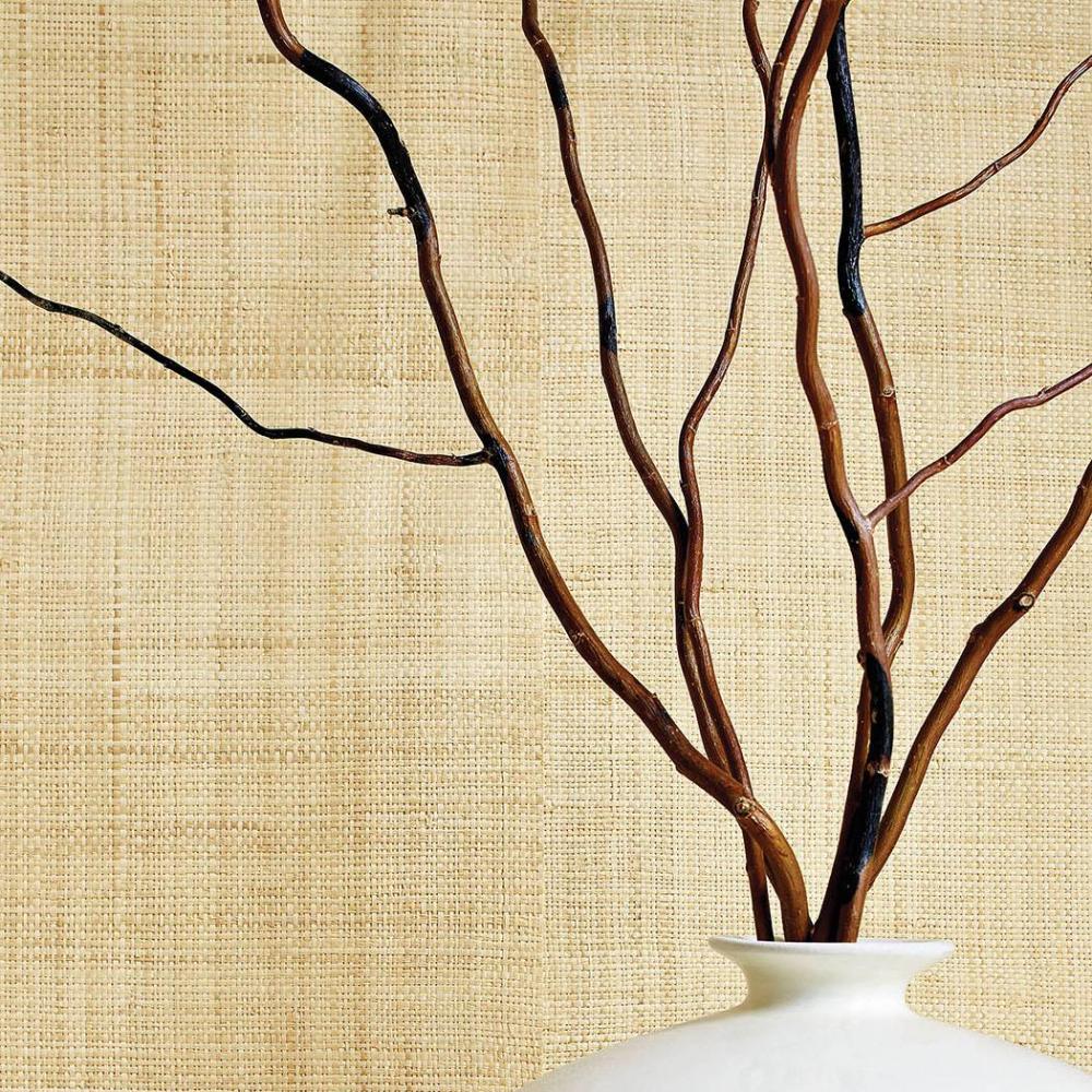 Carolina Raffia