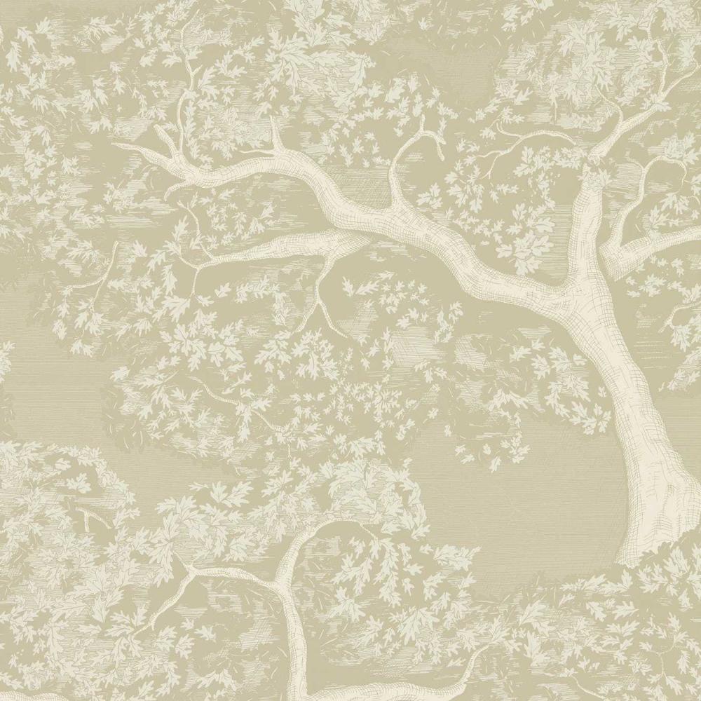 Eternal Oak