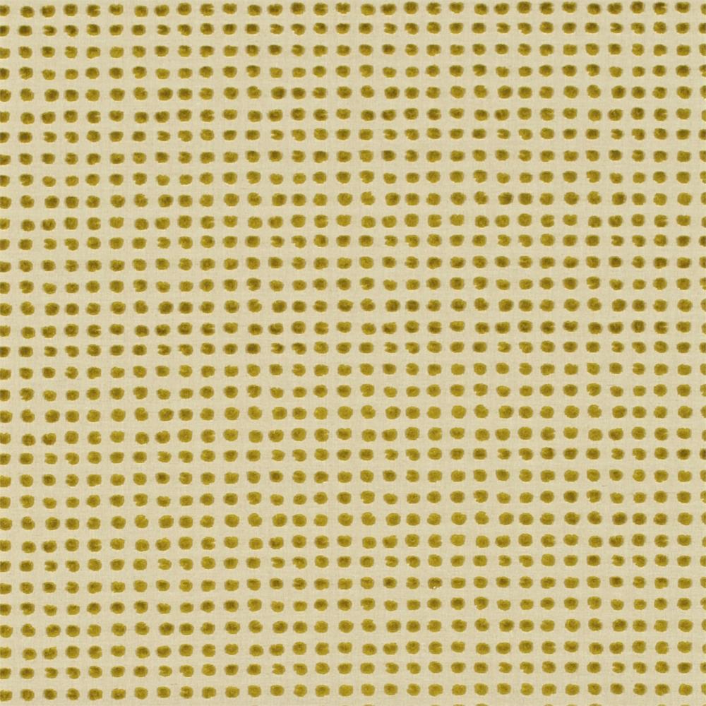 Polka