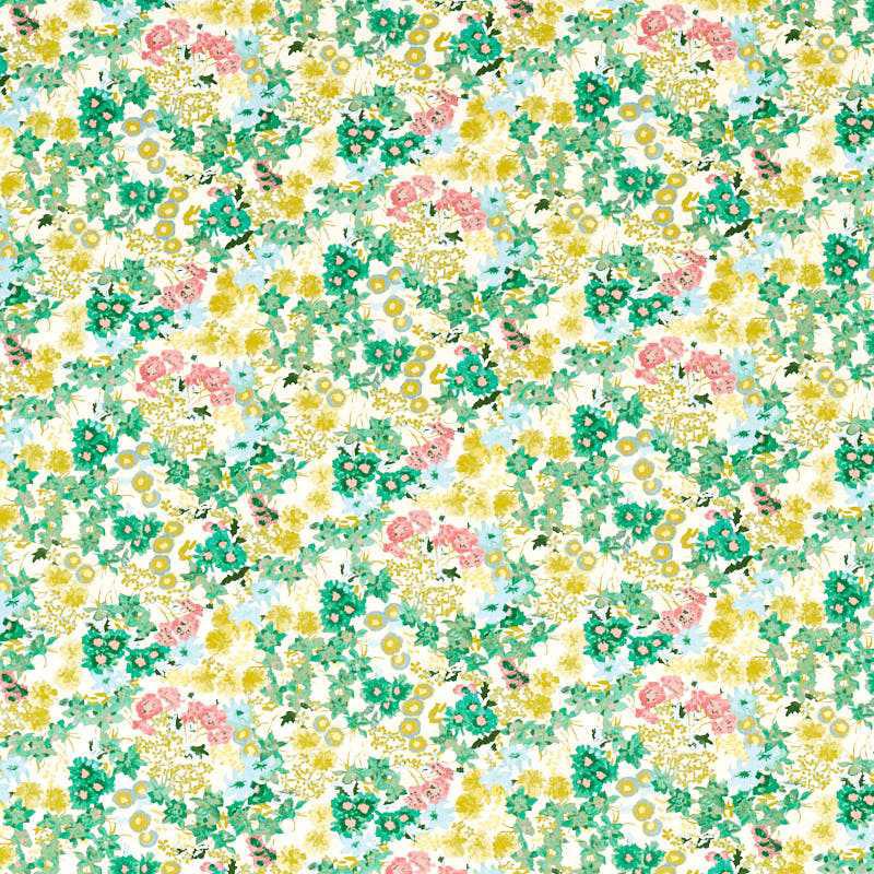Wildflower Meadow