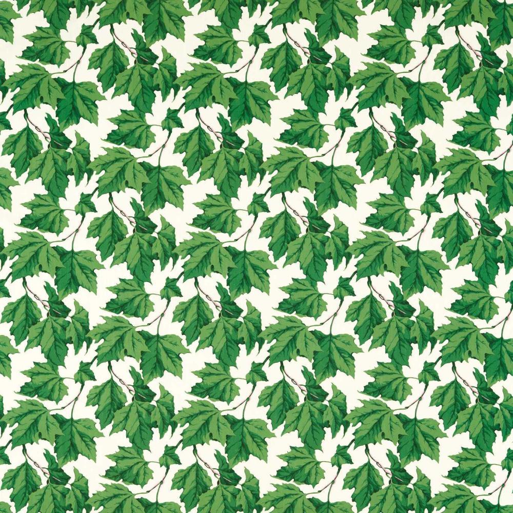 Dappled Leaf