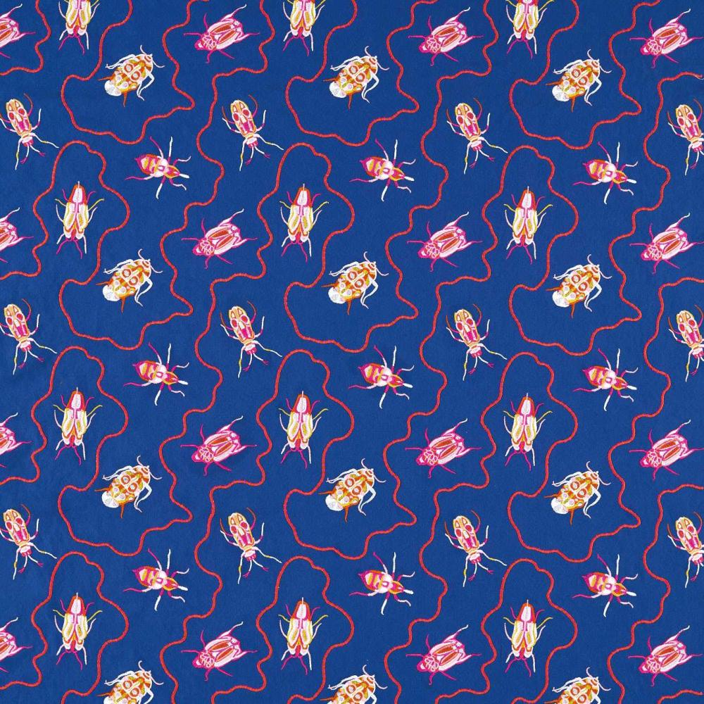 Jewel Beetles