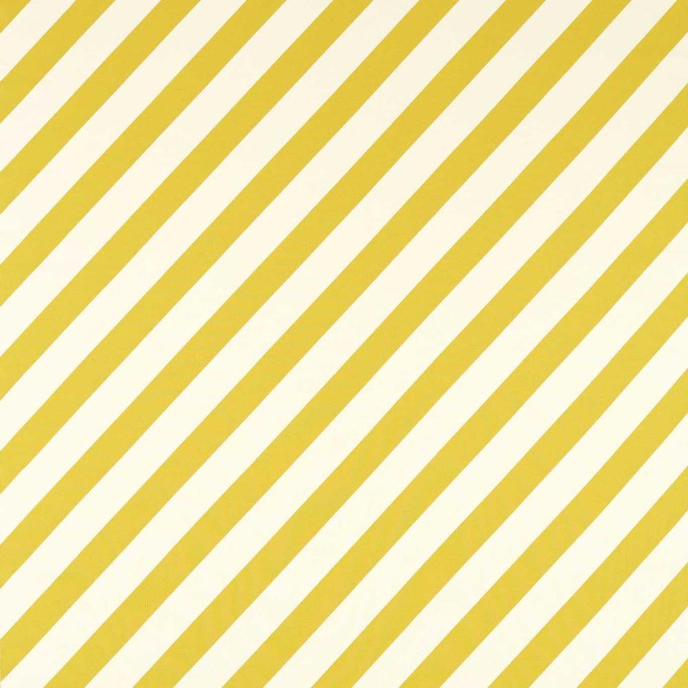 Paper Straw Stripe