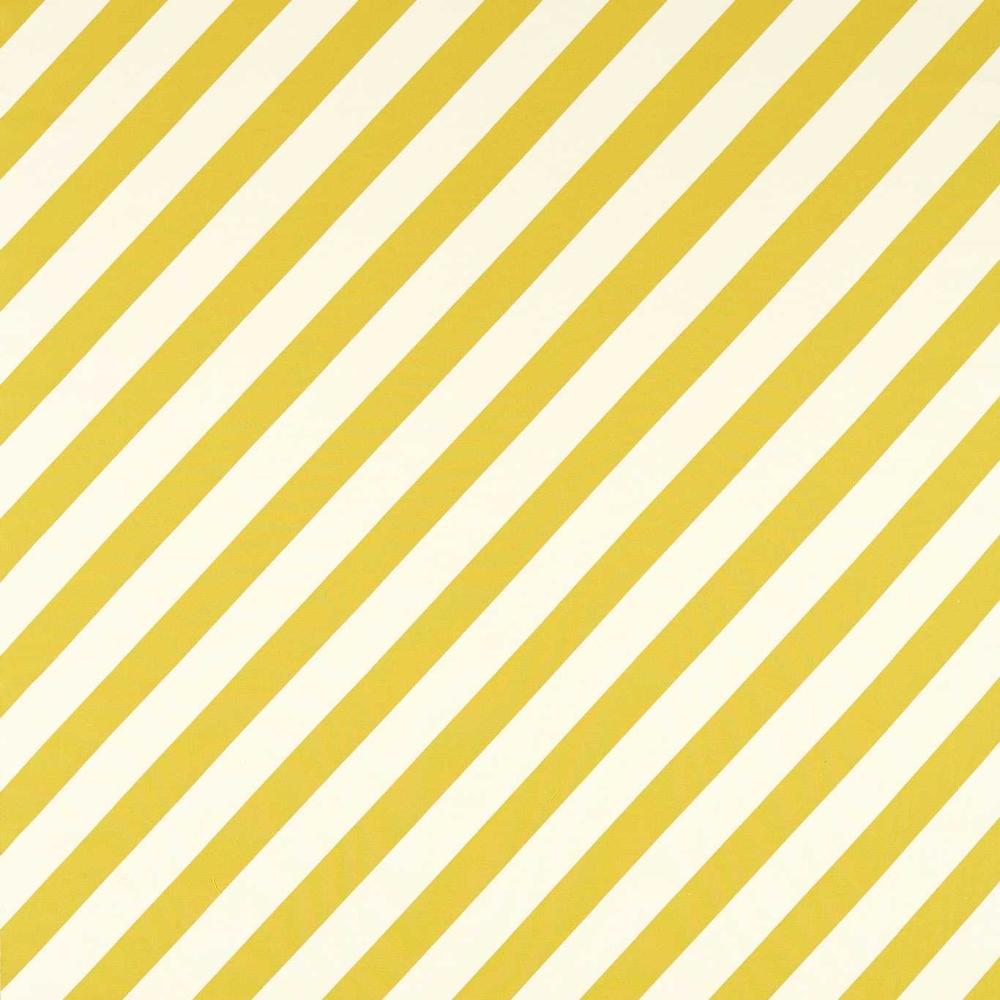 Paper Straw Stripe