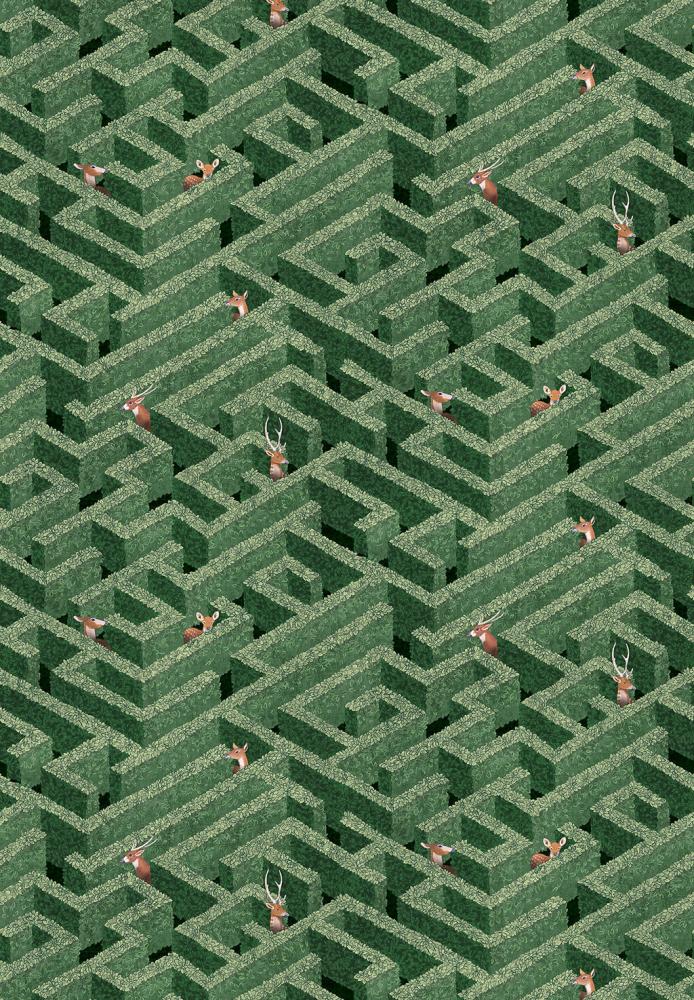Labyrinth with Deer