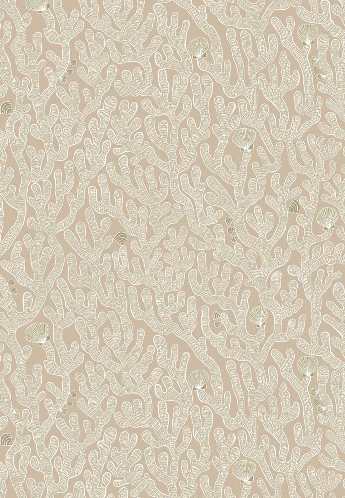 Coral