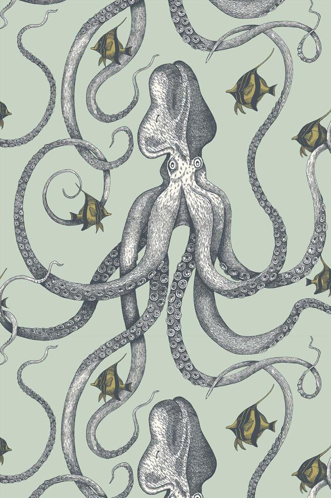 Octopoda Grand