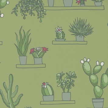 Mr Straw's Greenhouse