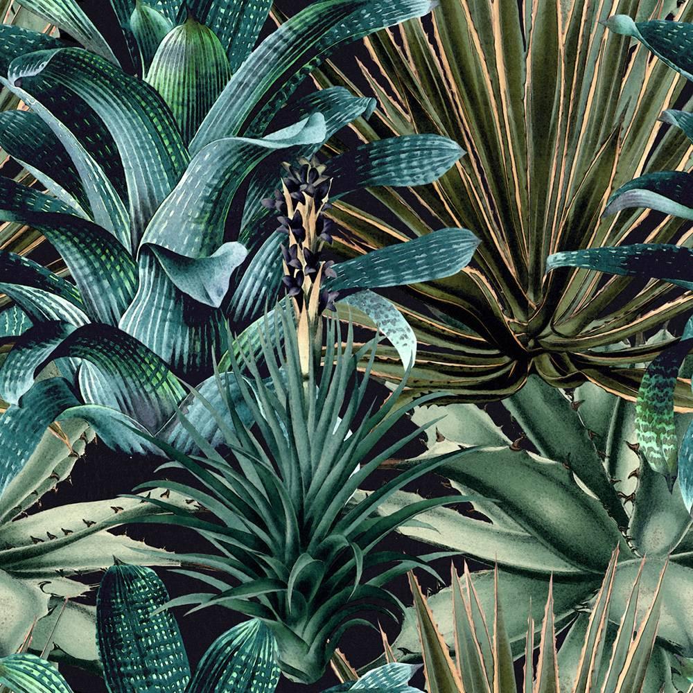 Lush Succulents