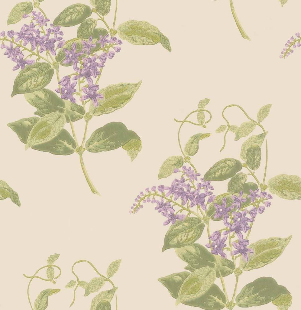 Madras Violet