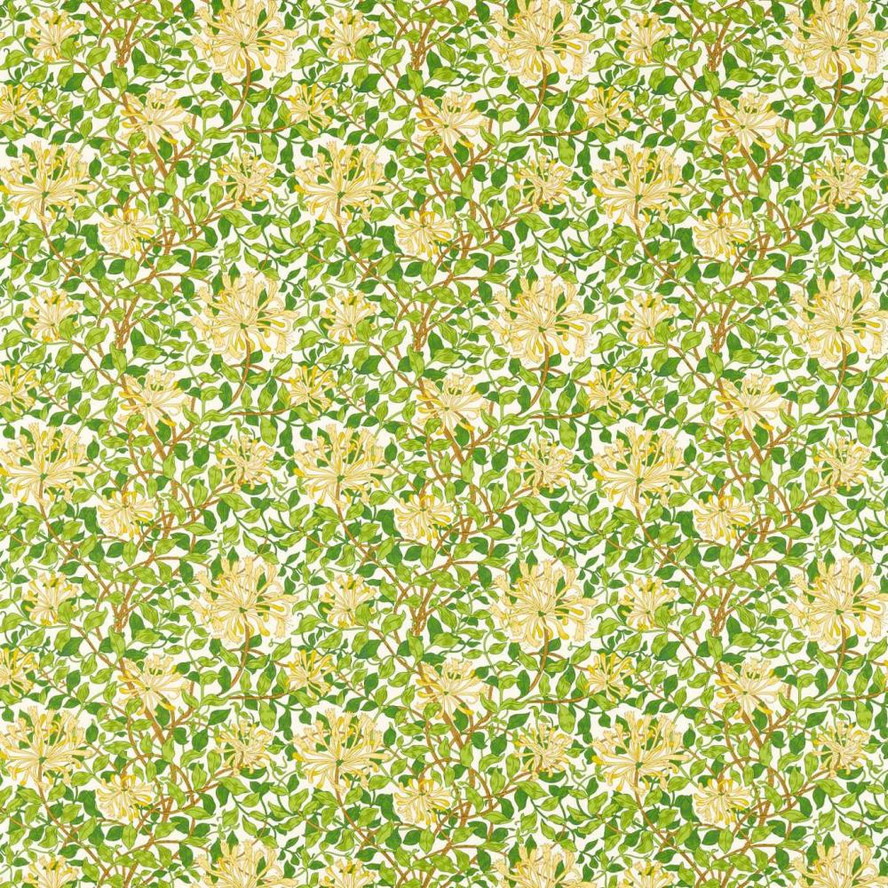 Honeysuckle