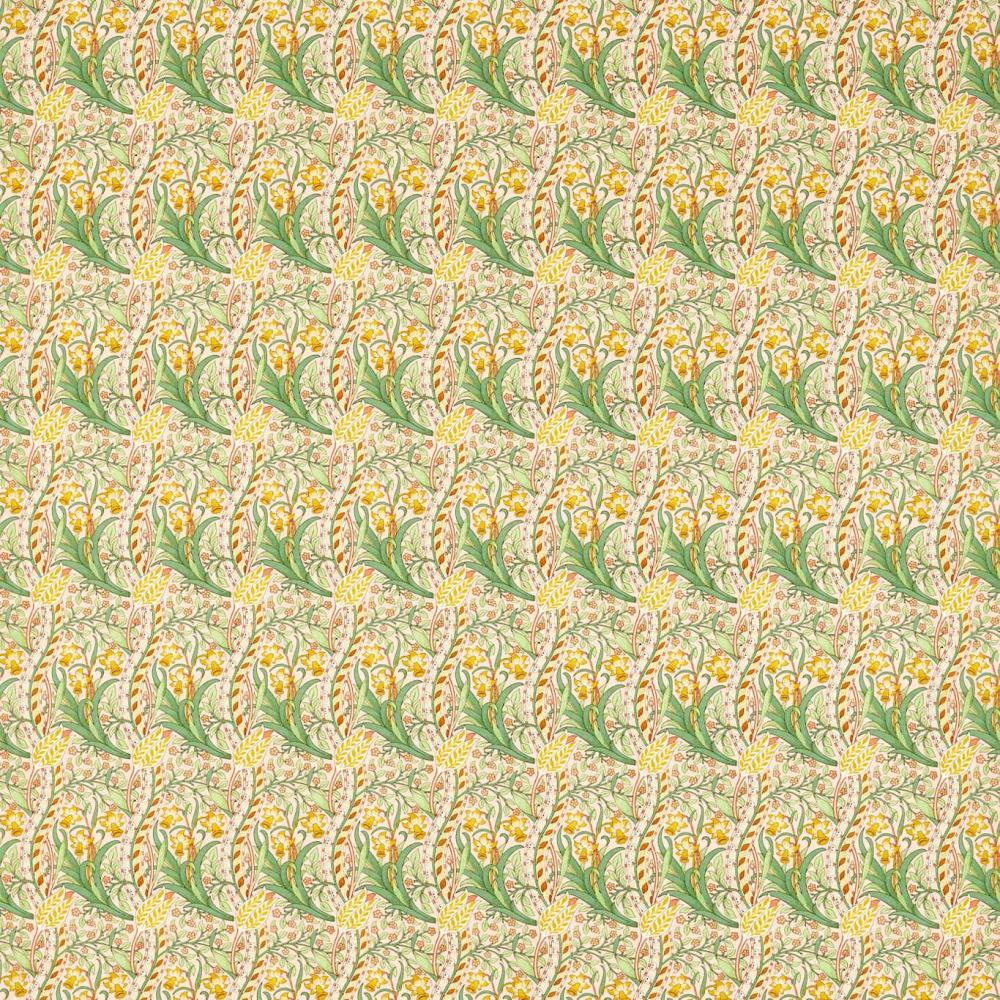 Daffodil
