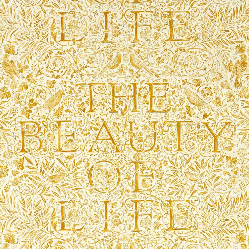 The Beauty of Life