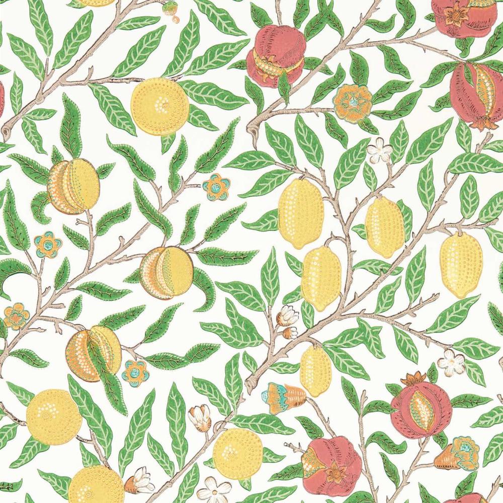 Fruit