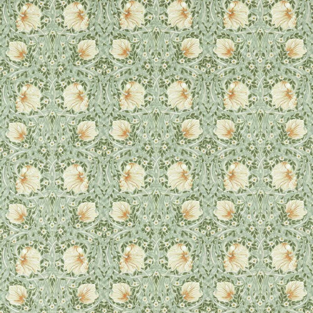 Pimpernel