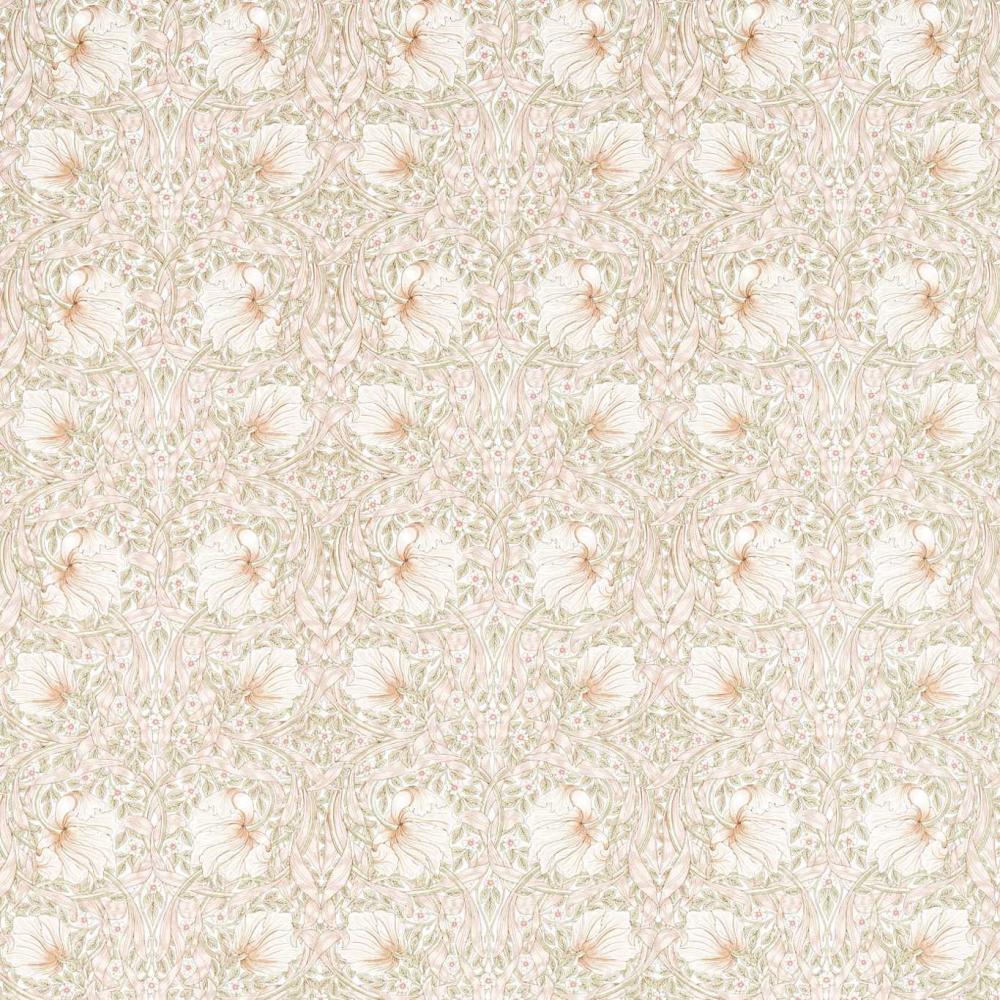Pimpernel