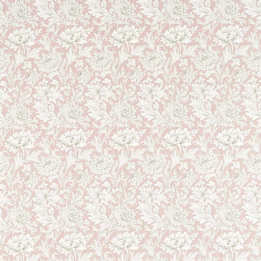 Chrysantemum Toile